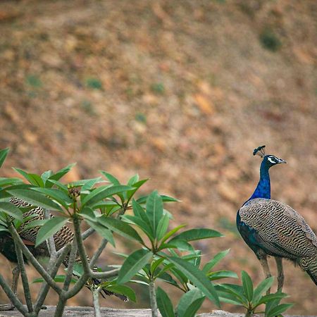 Open House By Stayvista: Nature Retreat with Pool & Expansive Lawn Shikrapur Exterior photo